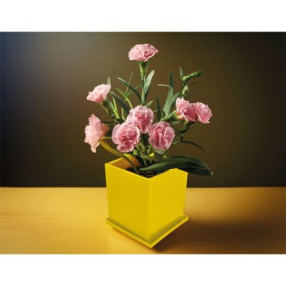 Product 155886 Image 1
