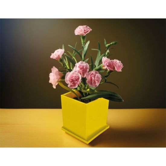 Product 155886 Image 1