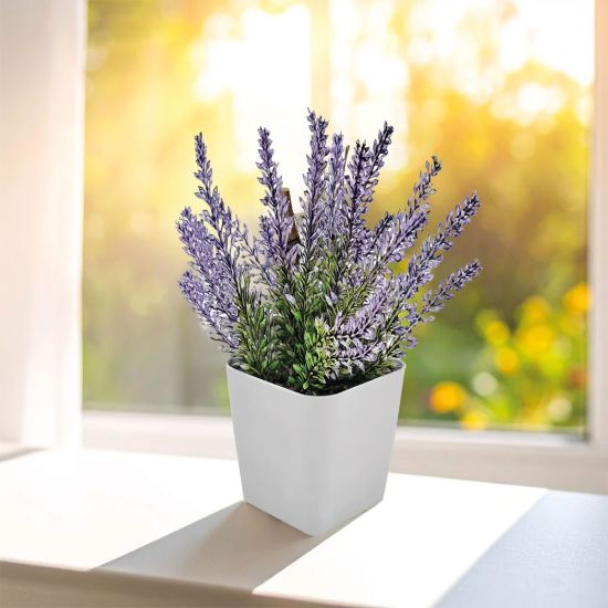Product 58089 Image 1